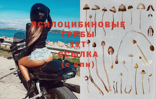 соль ск Алексеевка