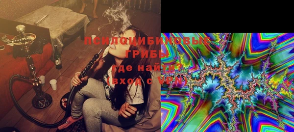 МДПВ Алзамай